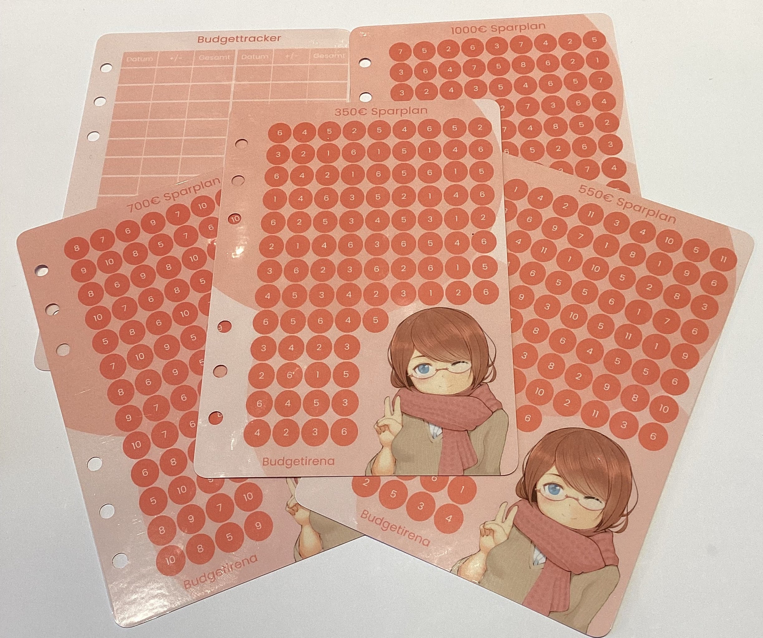 350€ Sparplan a6 rosa