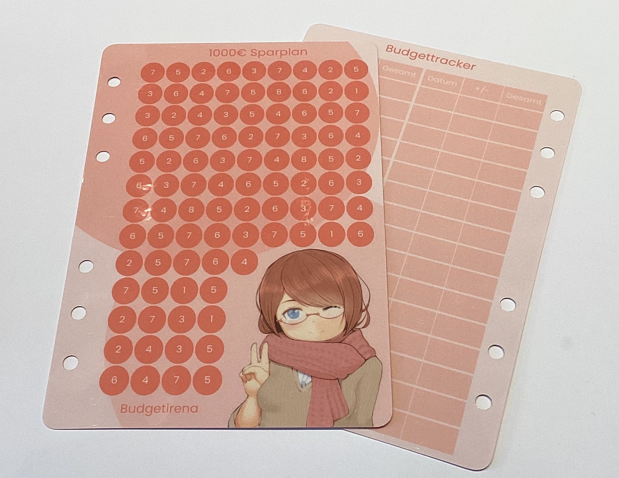 1000€ Sparplan a6 rosa