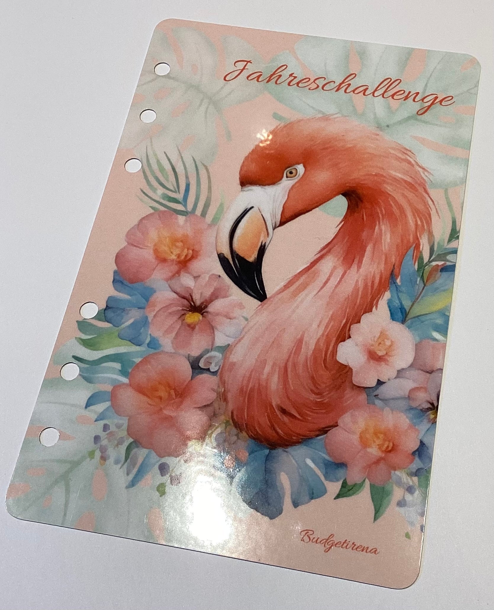 Jahreschallenge Tropical Einheftchallenge a6 mit Deckblatt und Geldhülle