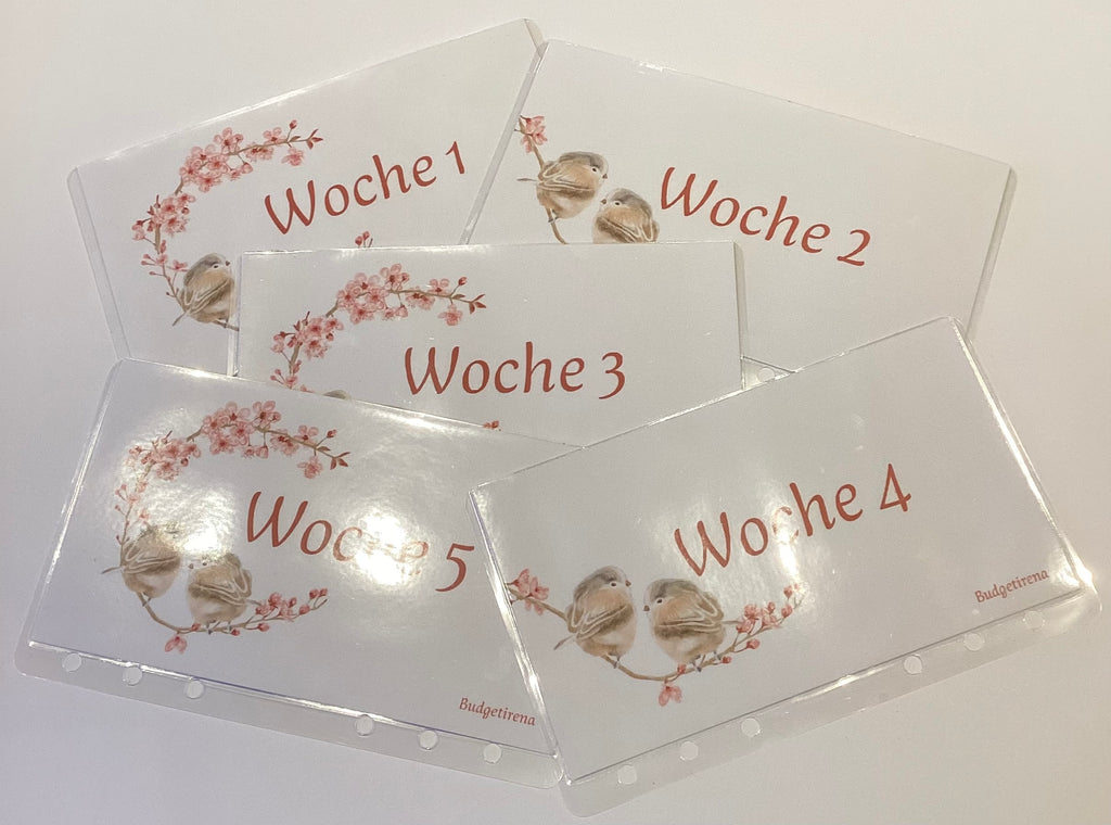5er Set Umschläge Vogel mit Kirschblüte a6