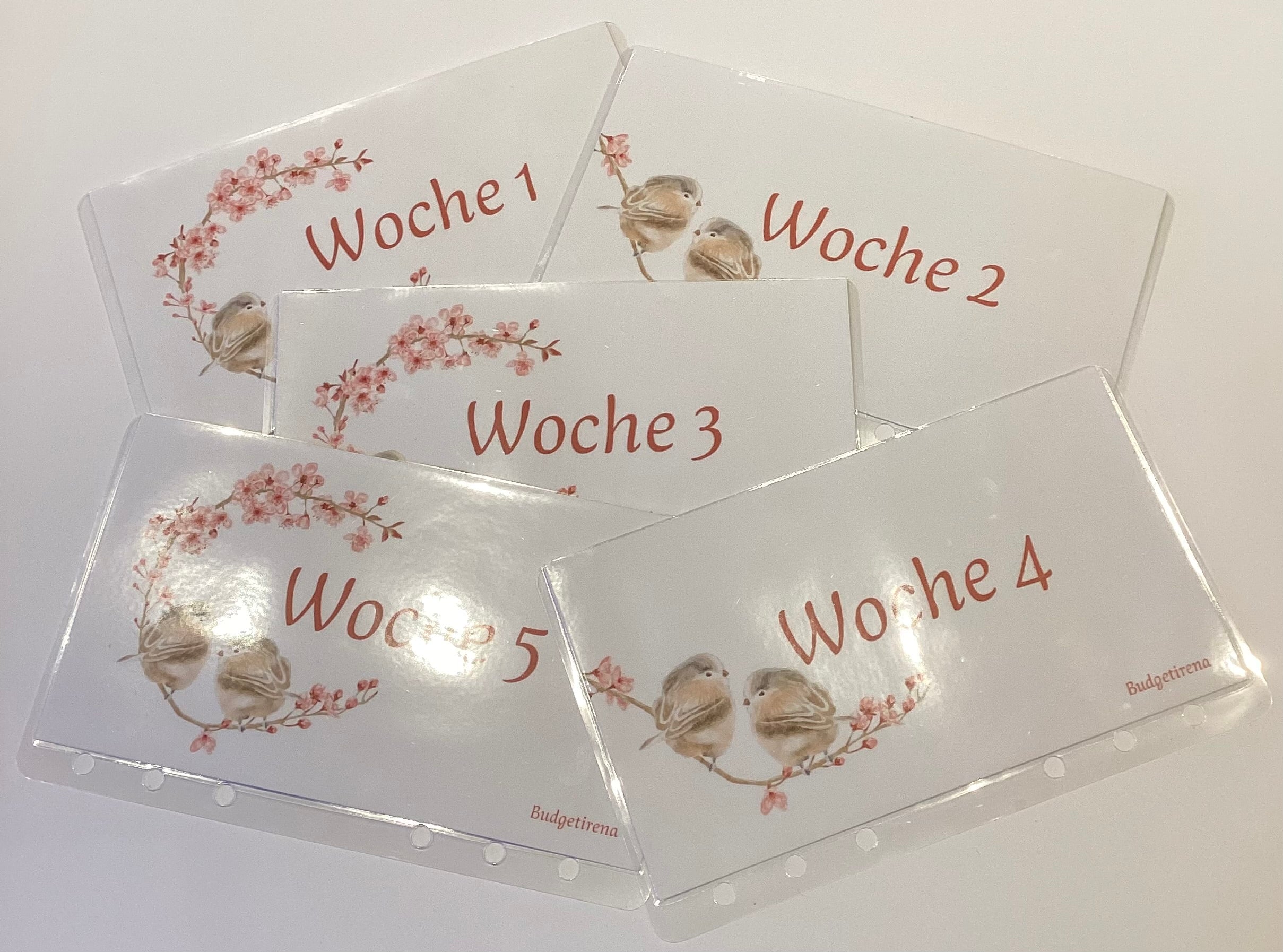 5er Set Umschläge Vogel mit Kirschblüte a6