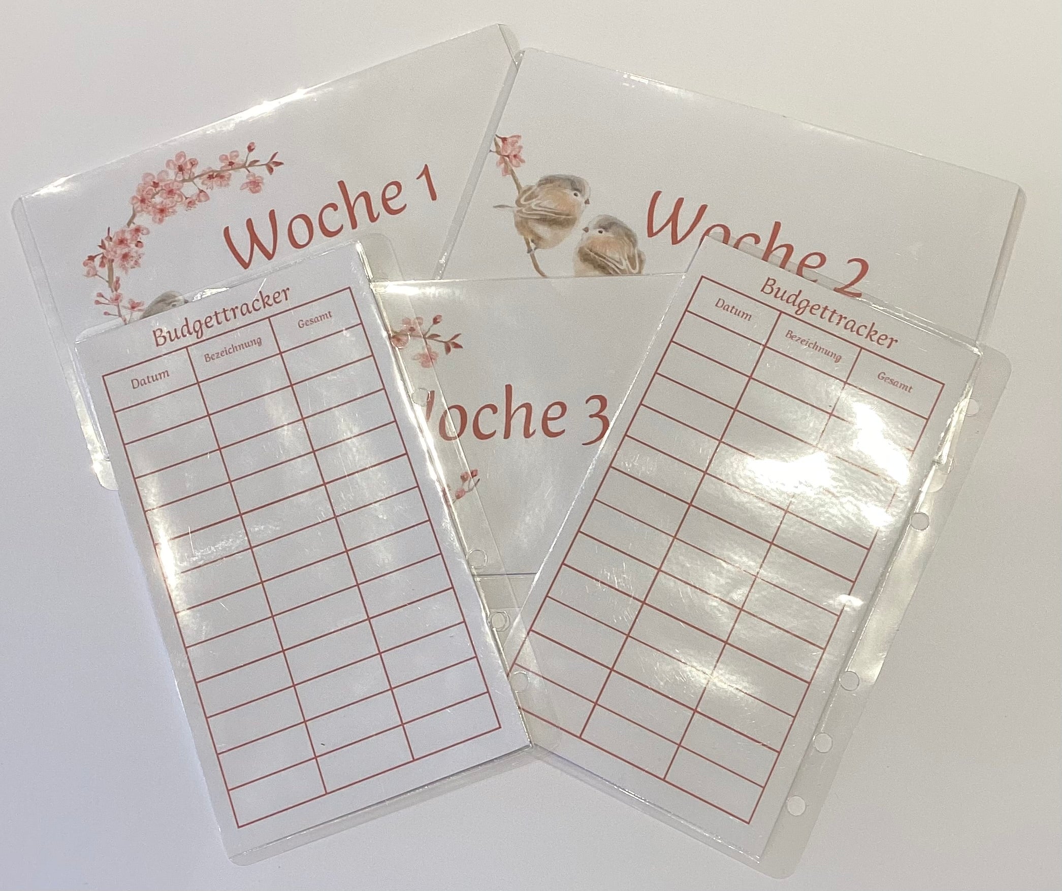 5er Set Umschläge Vogel mit Kirschblüte a6