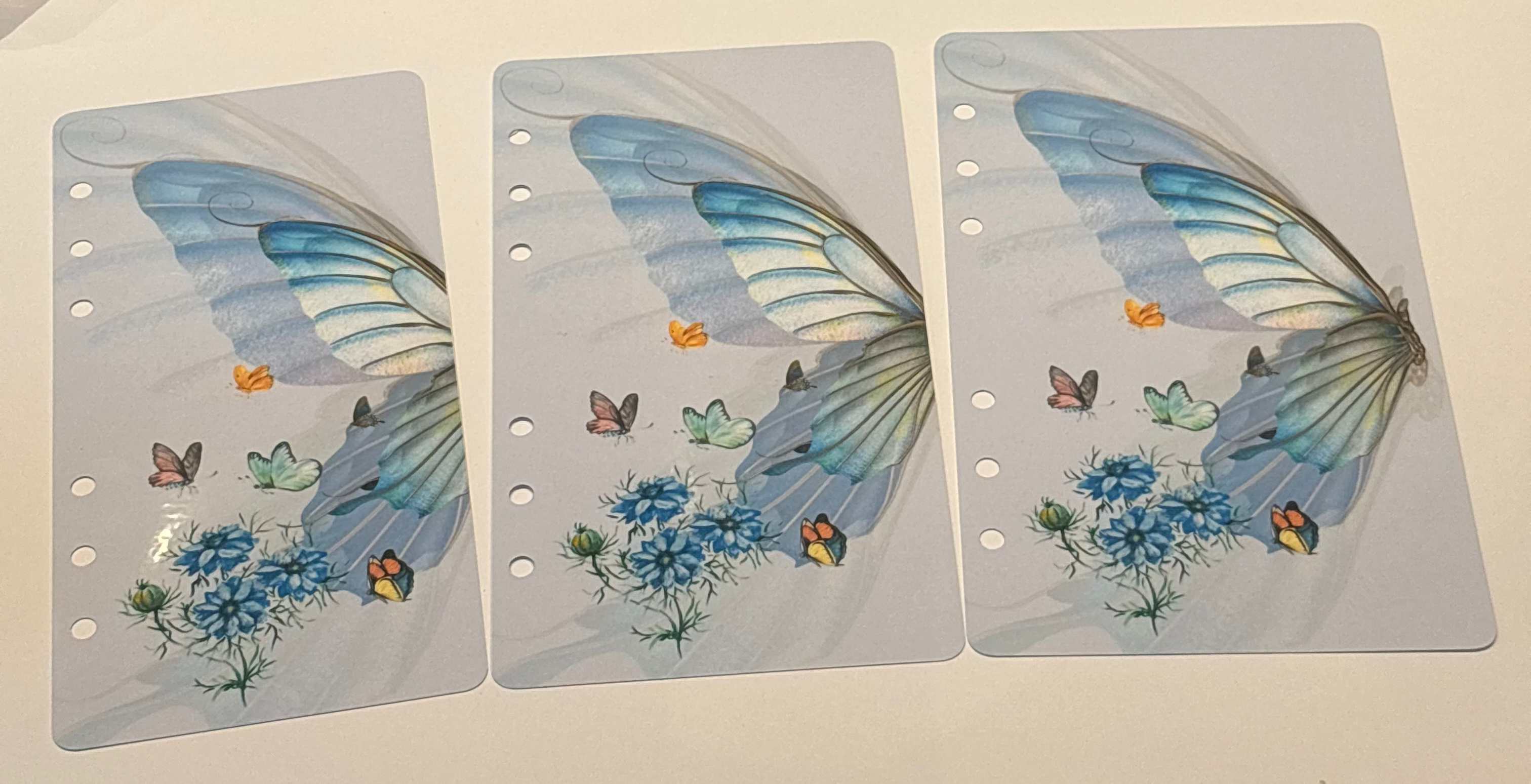 6er Register Butterfly a6